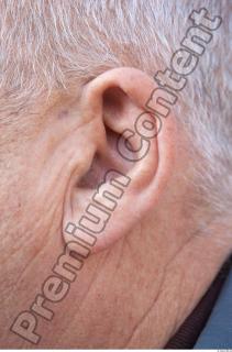 Ear texture of street references 454 0001